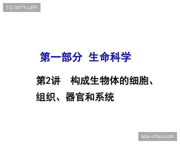 篮球防守圆柱体扩展规则的概念与构成解析